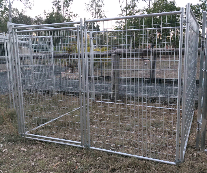 shih tzu not pooping